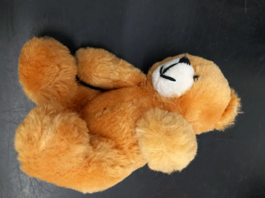 Nalle