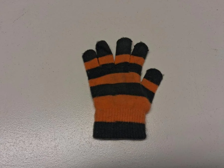 Ein einzelner Handschuh